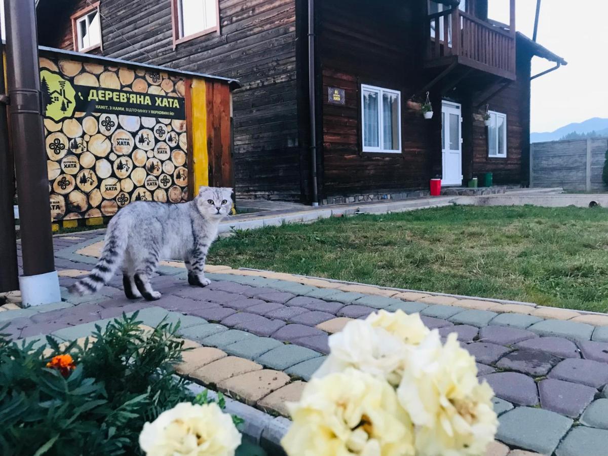 Садиба Дерев*Яна Хата Verkhovyna Exterior foto